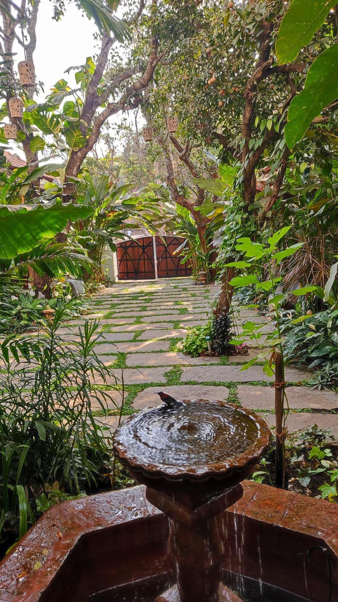 Hotel The Postcard Saligao Calangute Exterior foto