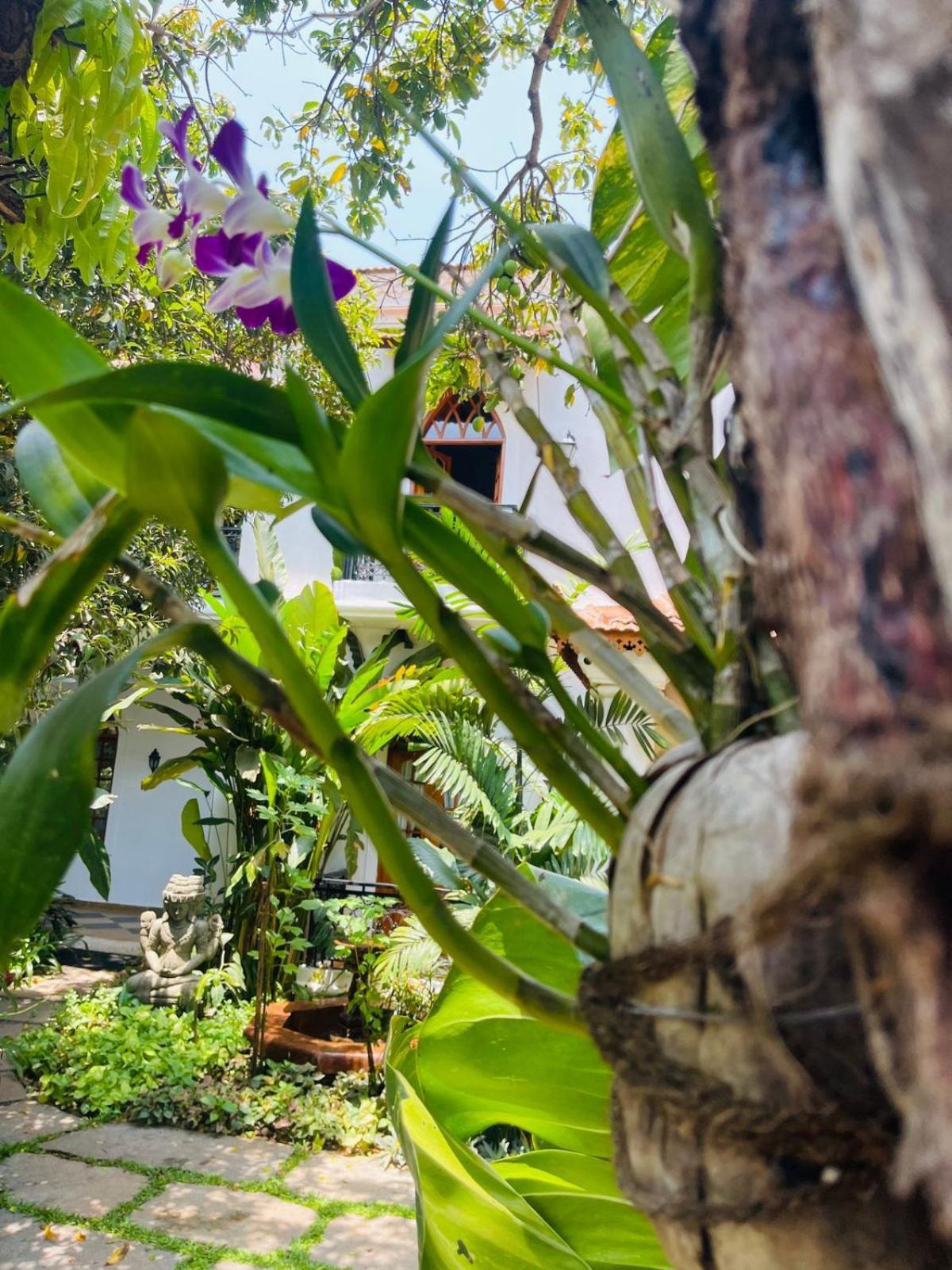 Hotel The Postcard Saligao Calangute Exterior foto